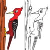 Enjoy-Colouring-Birds_page_3-1.jpg