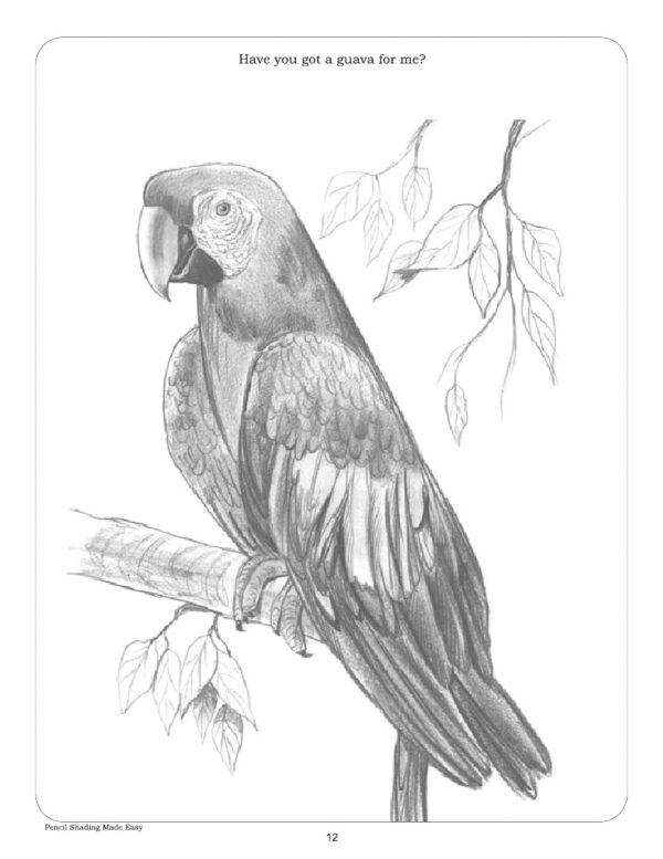 Basic Shading Animals Sample Pencil Shading Made Easy Animals & Birds 2 | Welcome! Wordsmith ...