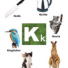 ABC Picture Book - Thumbnail Image 4