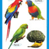 Birds-book_page_3.jpg