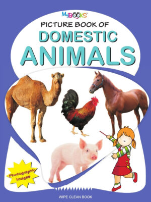 Picture Book Of Domestic Animals