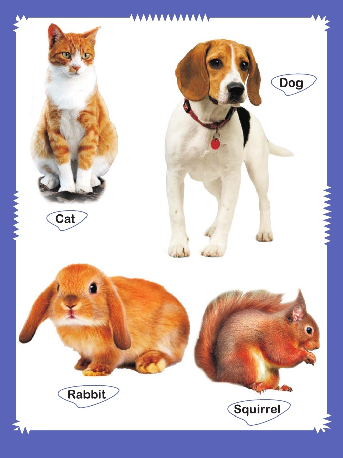 Domestic-animals-book_page_2.jpg