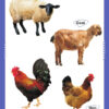 Domestic-animals-book_page_3.jpg
