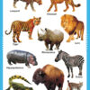 General Knowledge Picture Book - Thumbnail Image 3