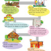 My World ( EVS ) Class 3 - Thumbnail Image 5
