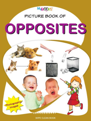 Picture Book Of Opposites