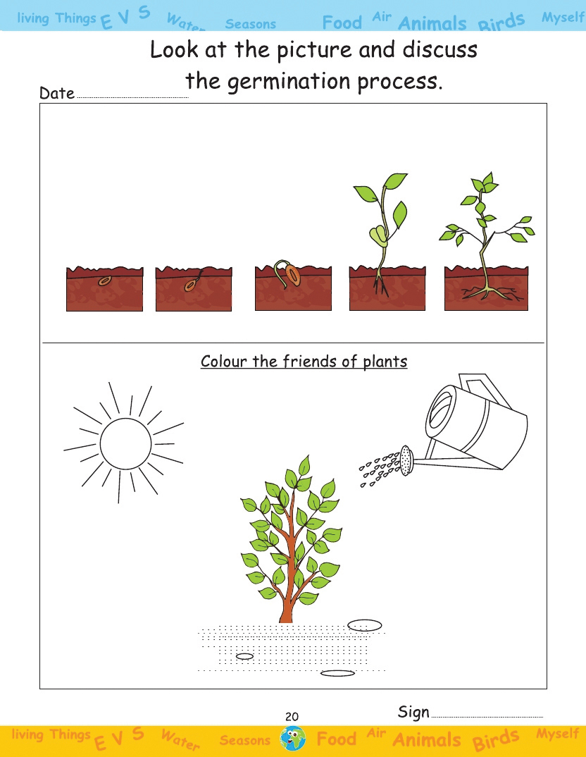 Wordsmith-EVS-Book-Jr.-Kg-2_page_1-1.jpg
