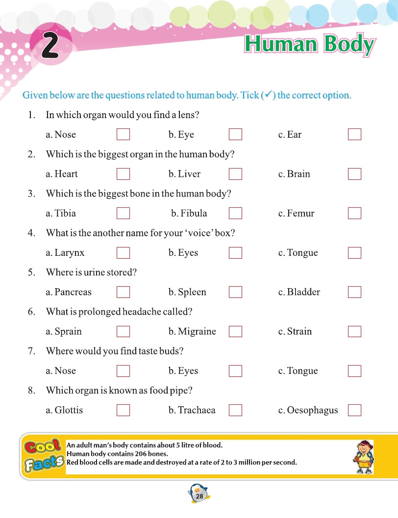 Wordsmith General Knowledge 4 - Image 4