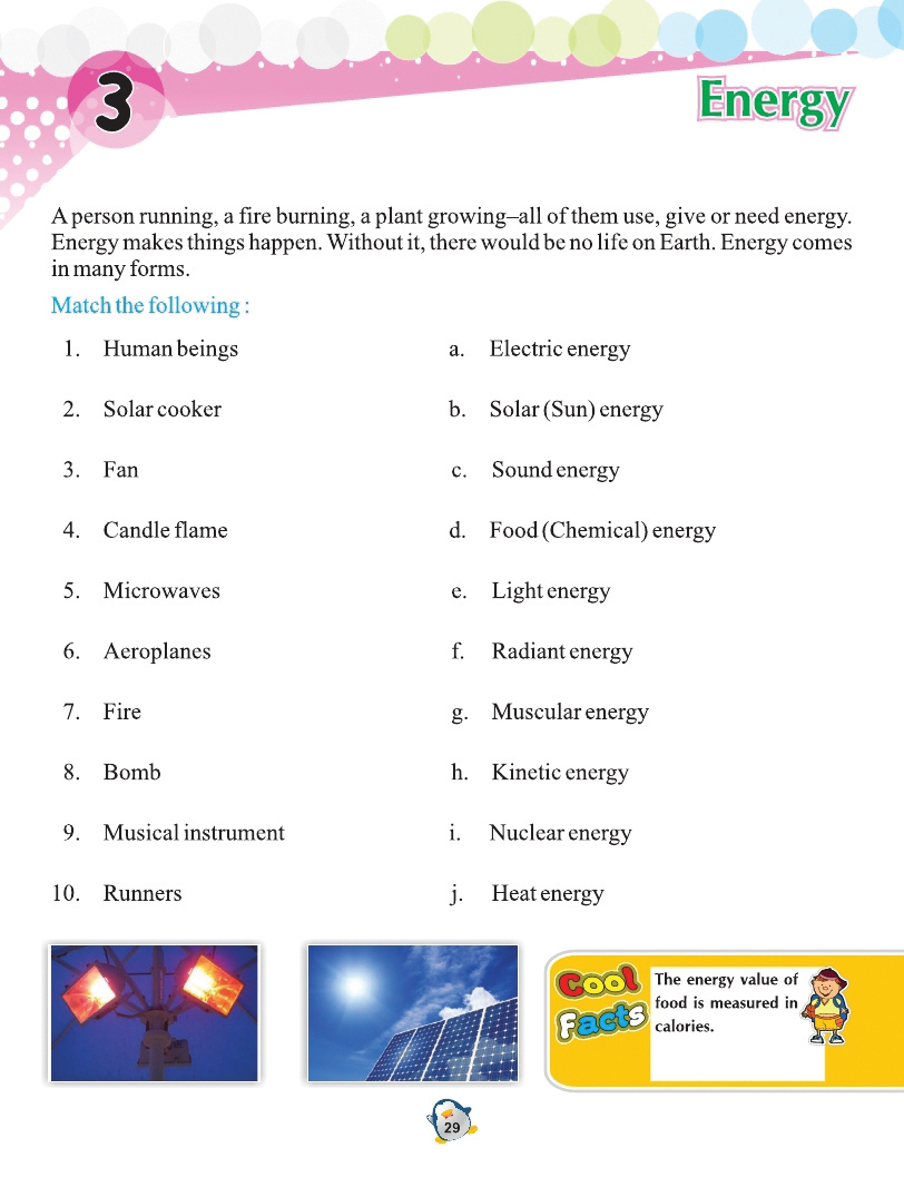 Wordsmith General Knowledge 4 - Image 5