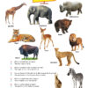 ws-english-conversatin-book-A-1_page_1-1.jpg