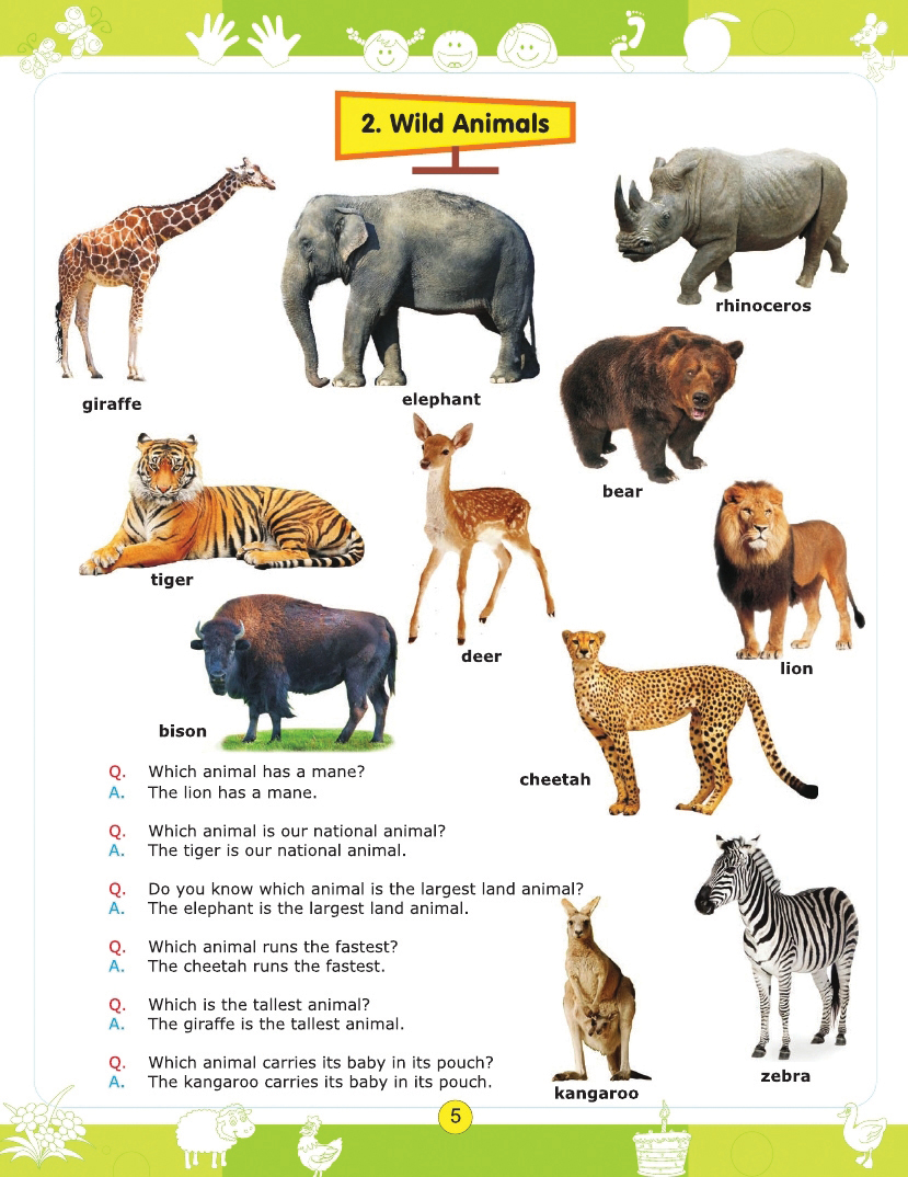 ws-english-conversatin-book-A-1_page_1-1.jpg