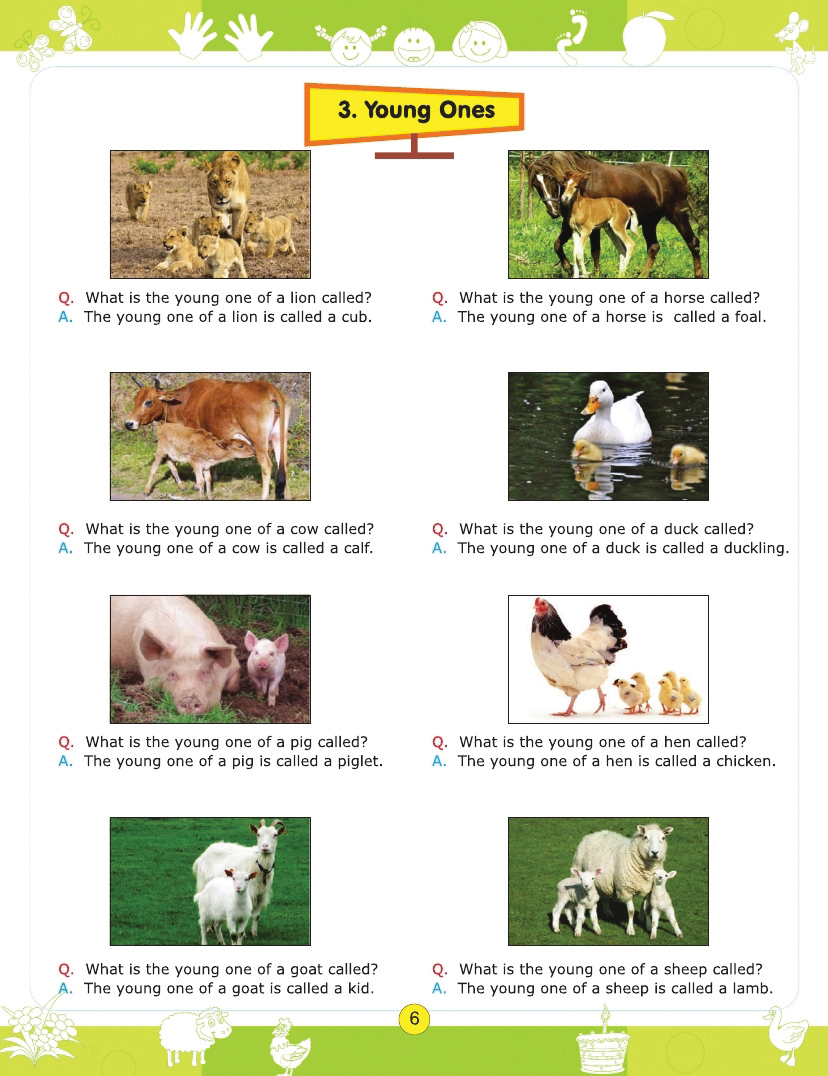 ws-english-conversatin-book-A-2_page_1-1.jpg